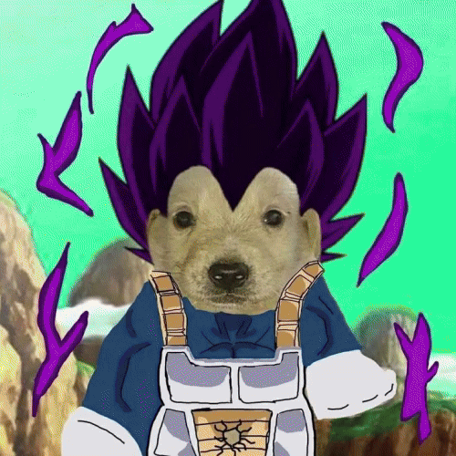 Perro Dinero the money dog